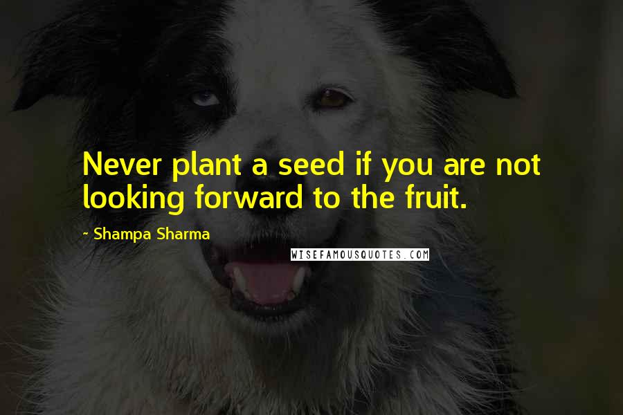 Shampa Sharma Quotes: Never plant a seed if you are not looking forward to the fruit.