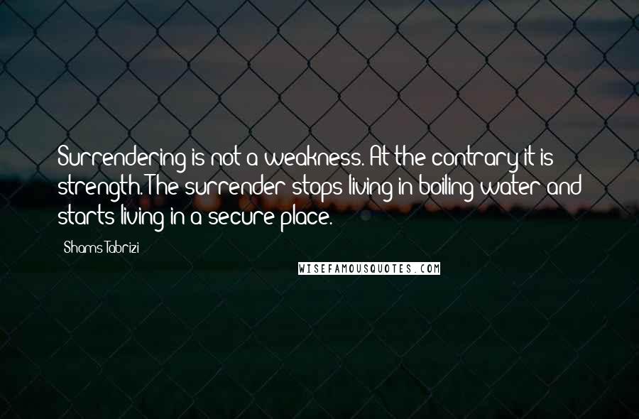 Shams Tabrizi Quotes: Surrendering is not a weakness. At the contrary it is strength. The surrender stops living in boiling water and starts living in a secure place.