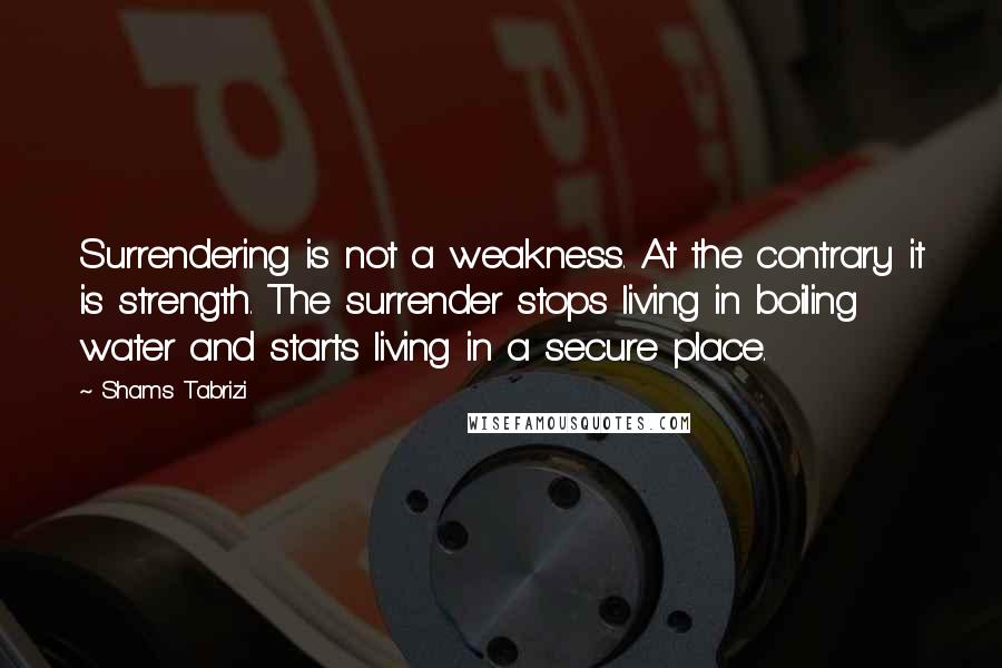 Shams Tabrizi Quotes: Surrendering is not a weakness. At the contrary it is strength. The surrender stops living in boiling water and starts living in a secure place.