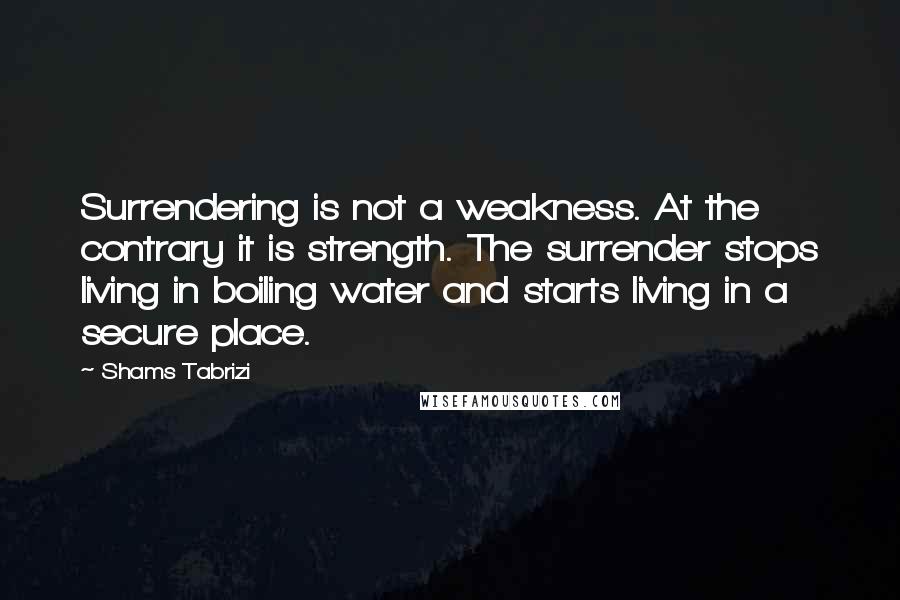 Shams Tabrizi Quotes: Surrendering is not a weakness. At the contrary it is strength. The surrender stops living in boiling water and starts living in a secure place.