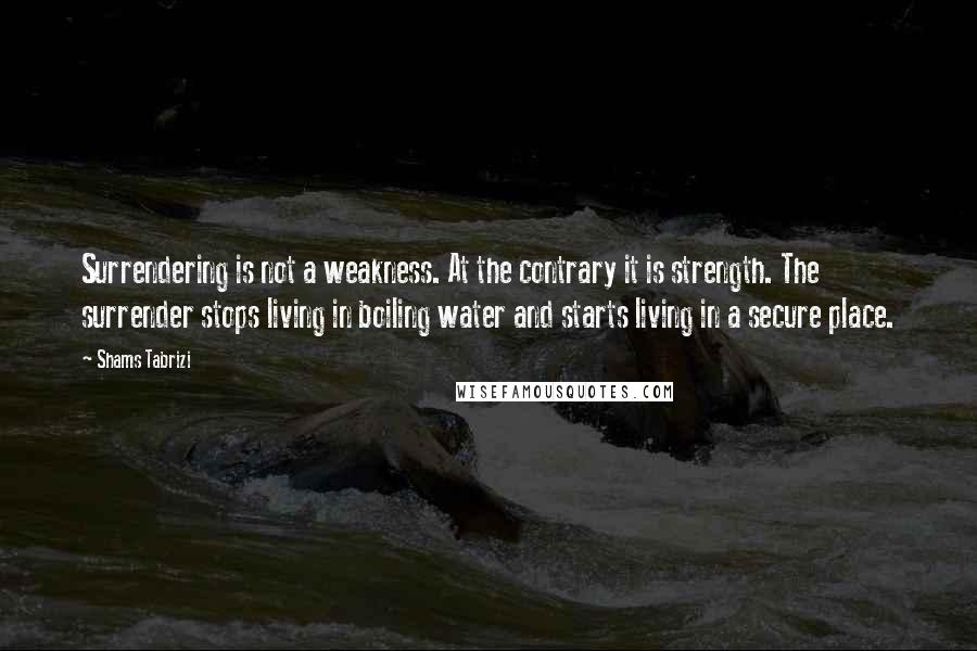 Shams Tabrizi Quotes: Surrendering is not a weakness. At the contrary it is strength. The surrender stops living in boiling water and starts living in a secure place.