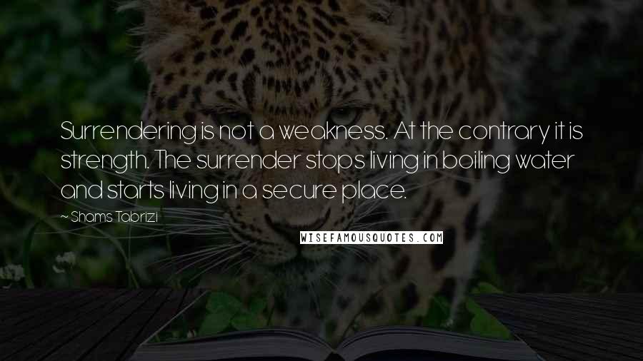 Shams Tabrizi Quotes: Surrendering is not a weakness. At the contrary it is strength. The surrender stops living in boiling water and starts living in a secure place.