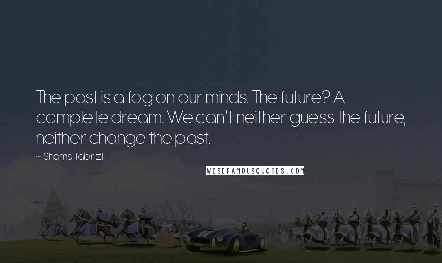 Shams Tabrizi Quotes: The past is a fog on our minds. The future? A complete dream. We can't neither guess the future, neither change the past.