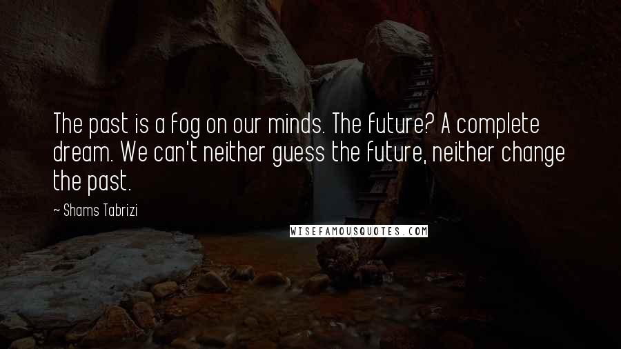 Shams Tabrizi Quotes: The past is a fog on our minds. The future? A complete dream. We can't neither guess the future, neither change the past.