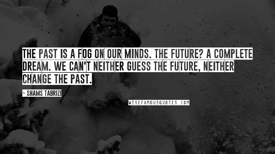 Shams Tabrizi Quotes: The past is a fog on our minds. The future? A complete dream. We can't neither guess the future, neither change the past.