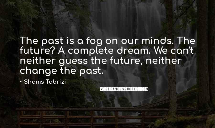 Shams Tabrizi Quotes: The past is a fog on our minds. The future? A complete dream. We can't neither guess the future, neither change the past.