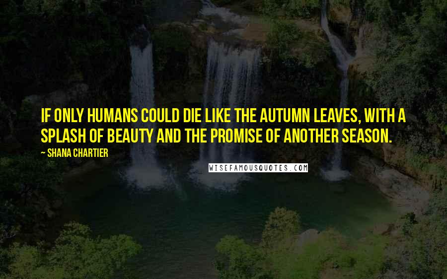 Shana Chartier Quotes: If only humans could die like the autumn leaves, with a splash of beauty and the promise of another season.