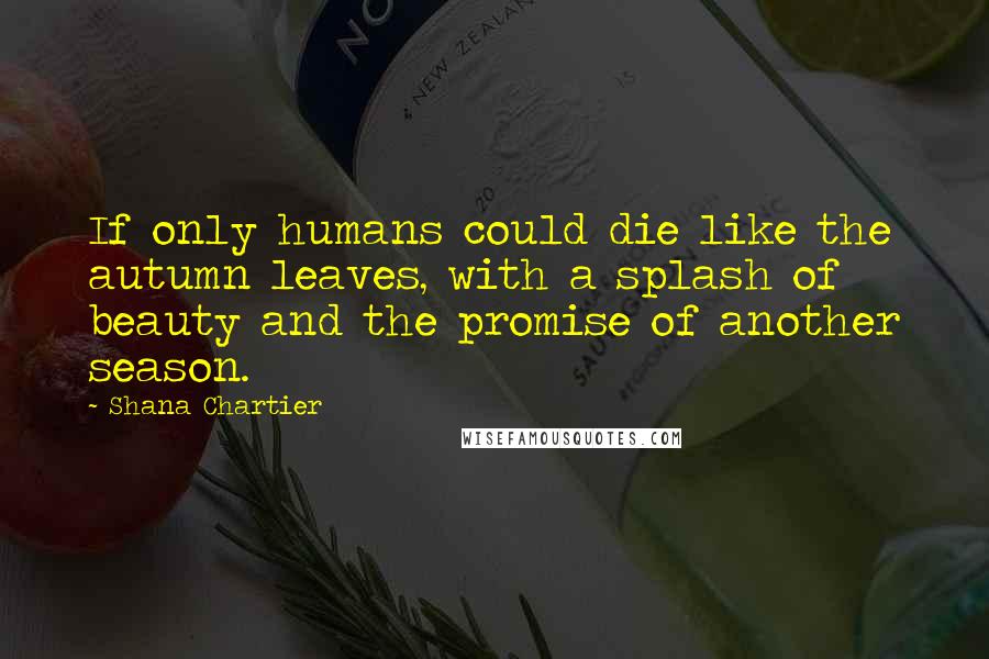 Shana Chartier Quotes: If only humans could die like the autumn leaves, with a splash of beauty and the promise of another season.