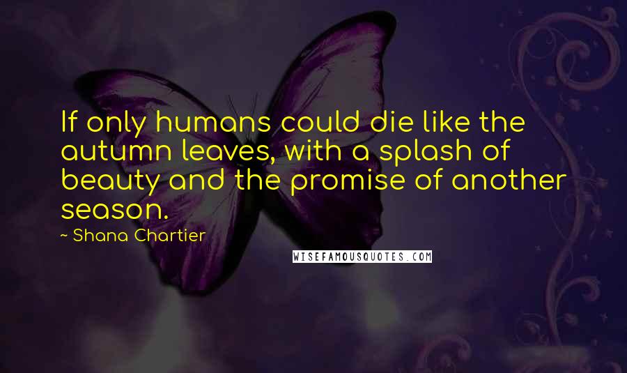 Shana Chartier Quotes: If only humans could die like the autumn leaves, with a splash of beauty and the promise of another season.