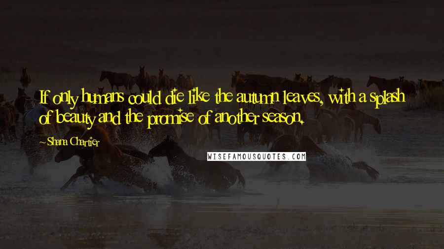 Shana Chartier Quotes: If only humans could die like the autumn leaves, with a splash of beauty and the promise of another season.