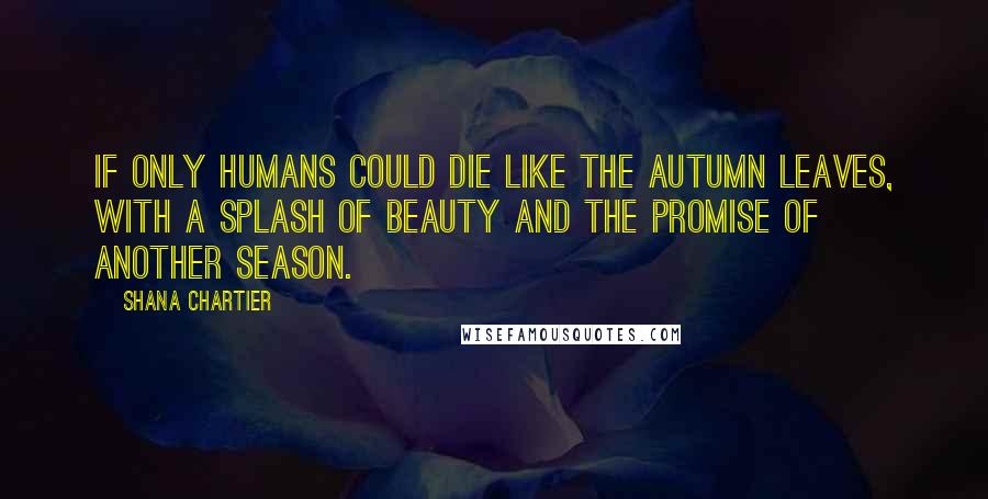 Shana Chartier Quotes: If only humans could die like the autumn leaves, with a splash of beauty and the promise of another season.