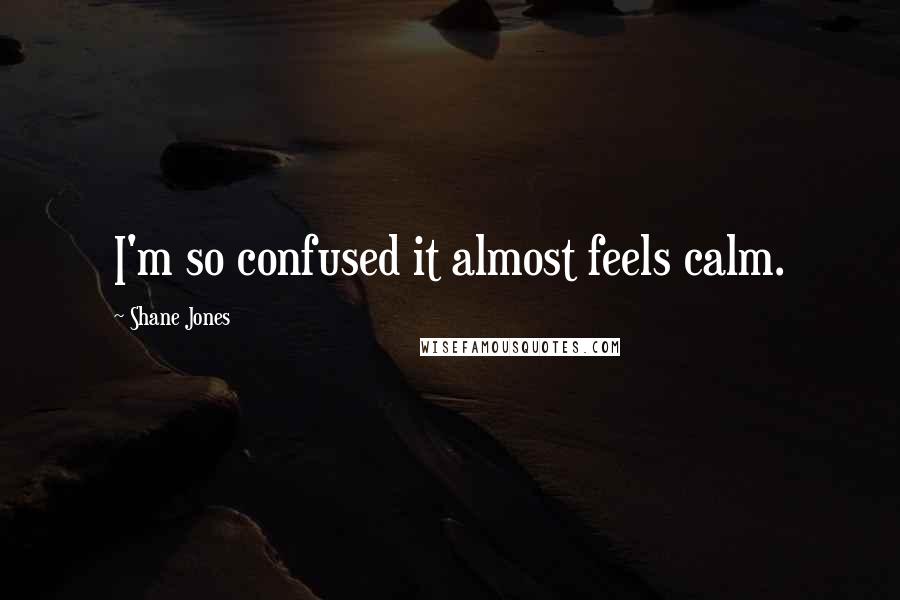 Shane Jones Quotes: I'm so confused it almost feels calm.