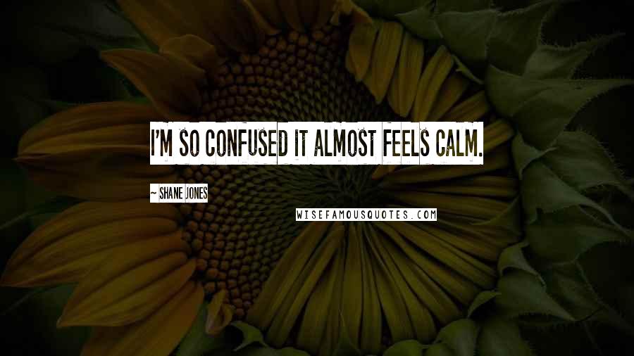 Shane Jones Quotes: I'm so confused it almost feels calm.