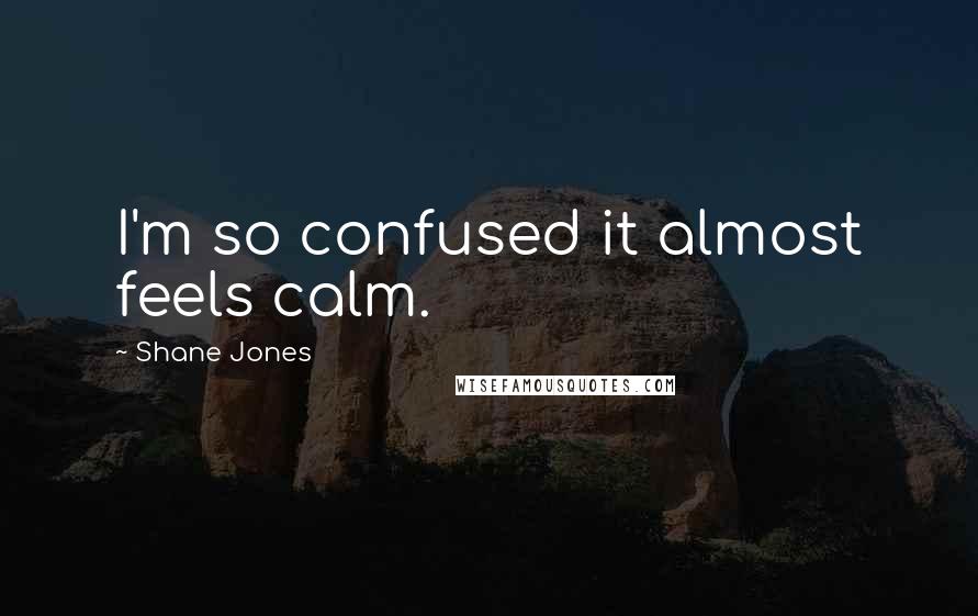 Shane Jones Quotes: I'm so confused it almost feels calm.