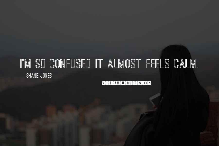 Shane Jones Quotes: I'm so confused it almost feels calm.