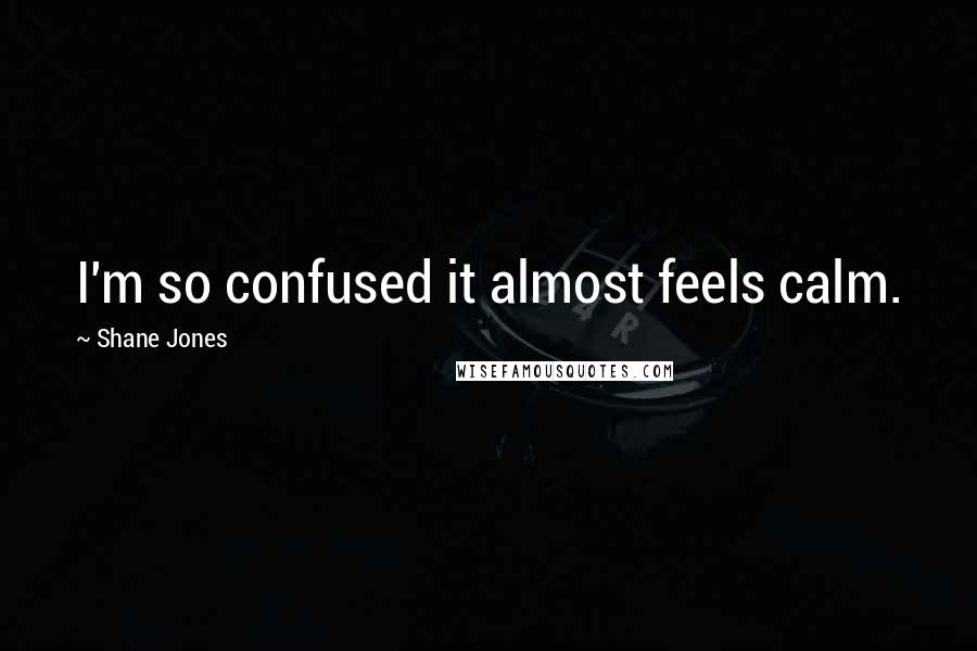 Shane Jones Quotes: I'm so confused it almost feels calm.
