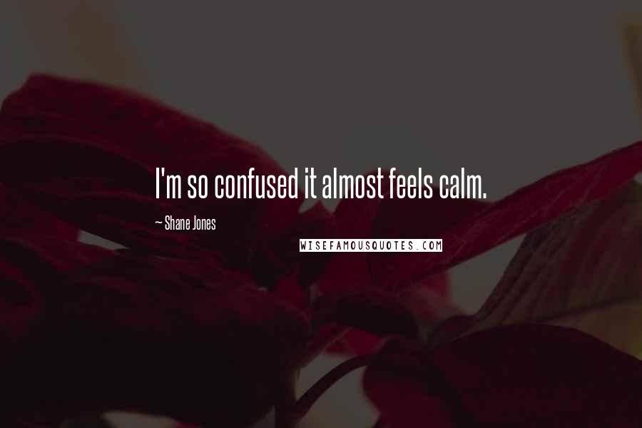 Shane Jones Quotes: I'm so confused it almost feels calm.