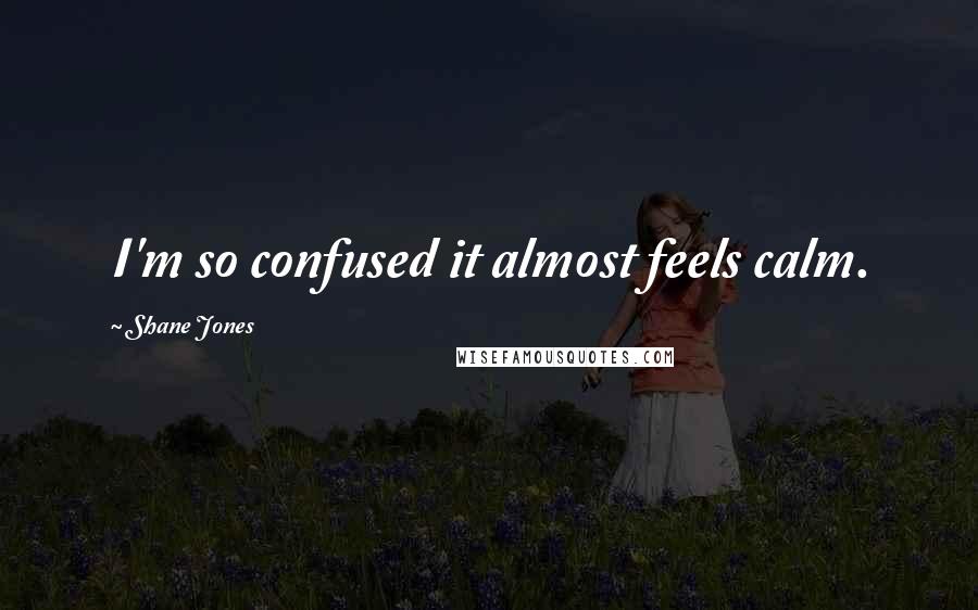 Shane Jones Quotes: I'm so confused it almost feels calm.