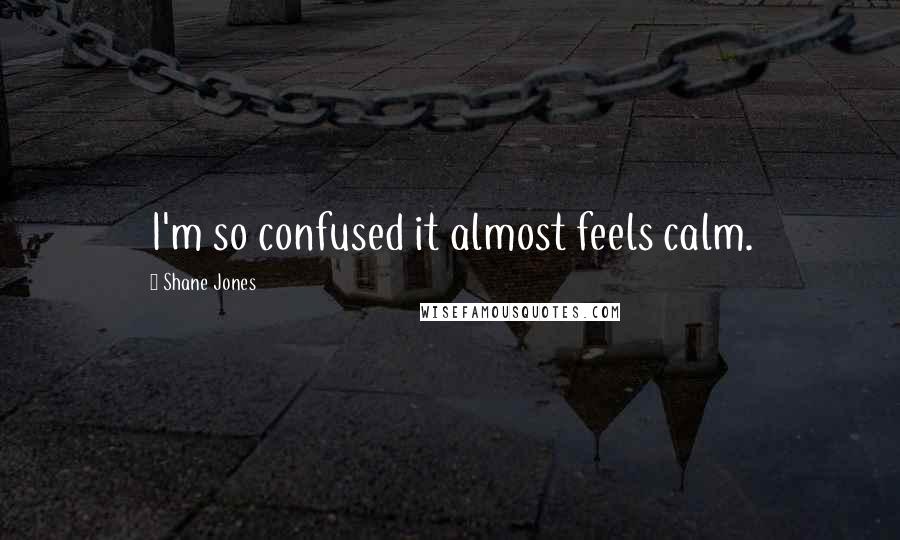 Shane Jones Quotes: I'm so confused it almost feels calm.