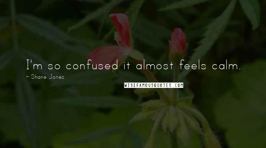 Shane Jones Quotes: I'm so confused it almost feels calm.
