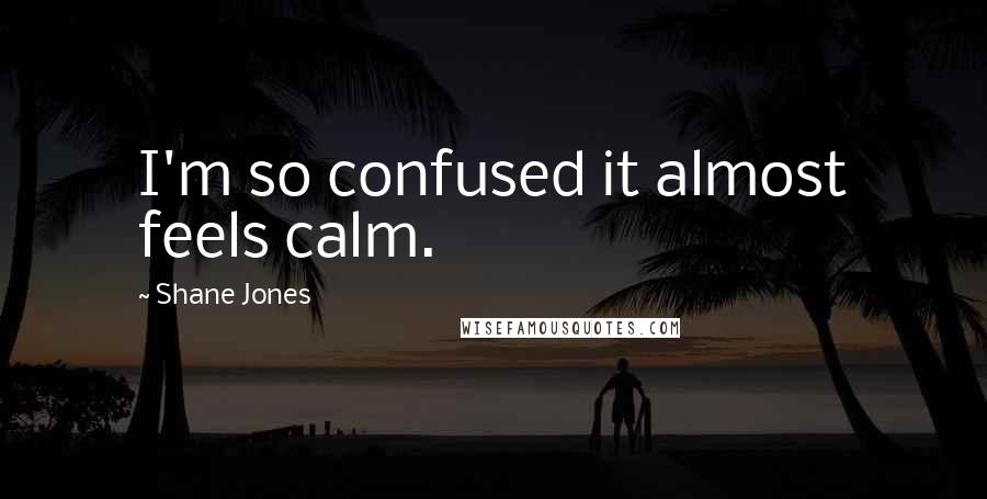Shane Jones Quotes: I'm so confused it almost feels calm.