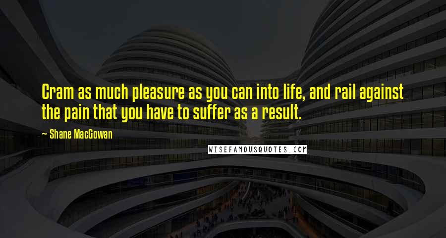 Shane MacGowan Quotes: Cram as much pleasure as you can into life, and rail against the pain that you have to suffer as a result.