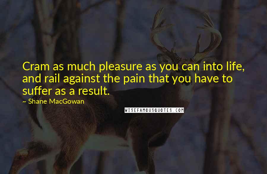 Shane MacGowan Quotes: Cram as much pleasure as you can into life, and rail against the pain that you have to suffer as a result.