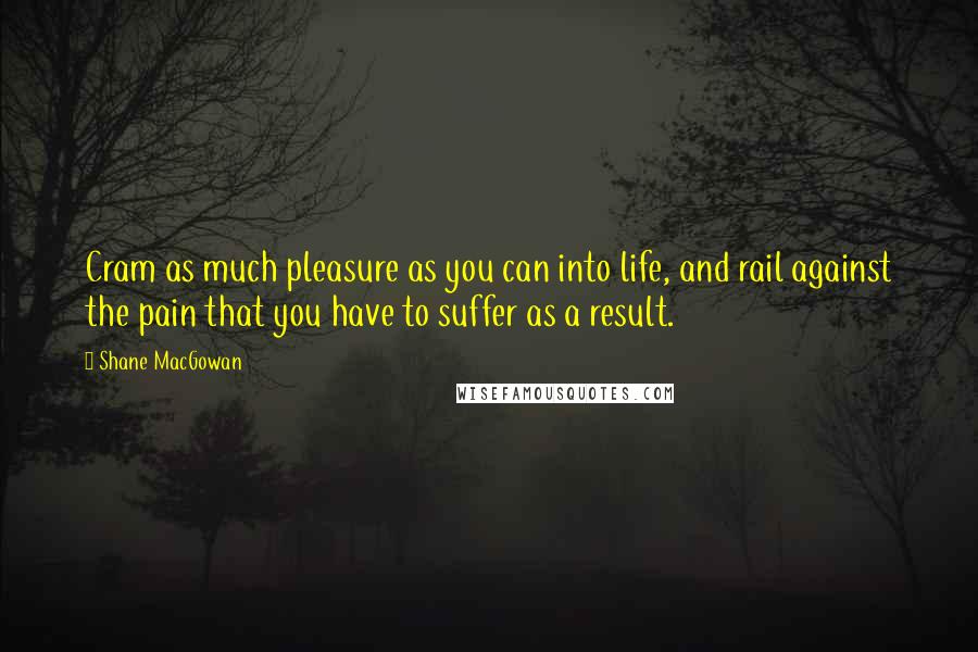 Shane MacGowan Quotes: Cram as much pleasure as you can into life, and rail against the pain that you have to suffer as a result.