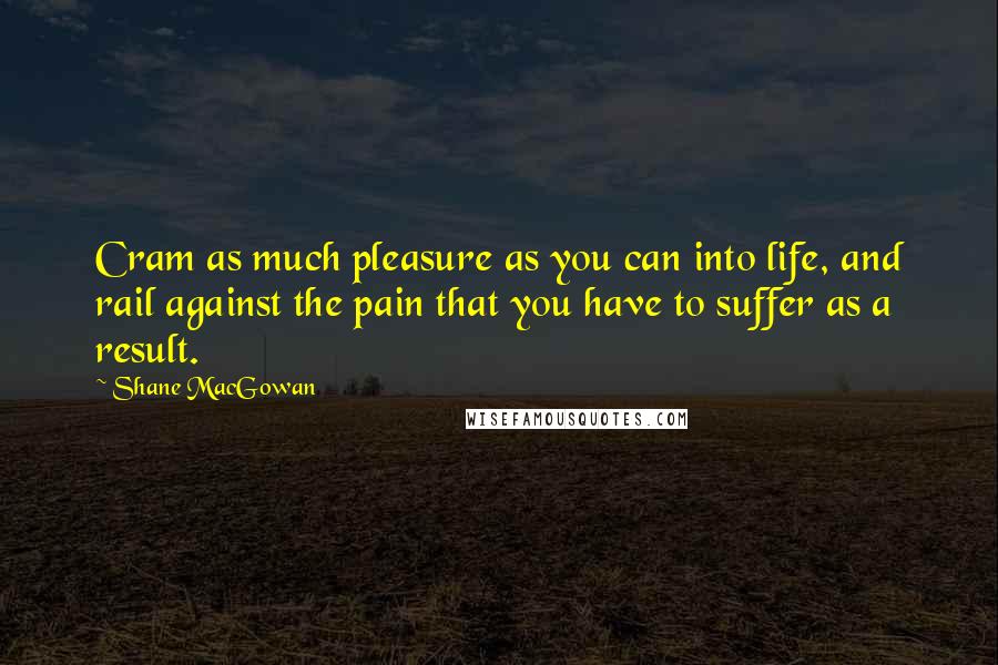 Shane MacGowan Quotes: Cram as much pleasure as you can into life, and rail against the pain that you have to suffer as a result.