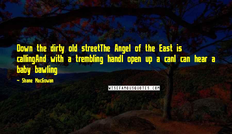 Shane MacGowan Quotes: Down the dirty old streetThe Angel of the East is callingAnd with a trembling handI open up a canI can hear a baby bawling