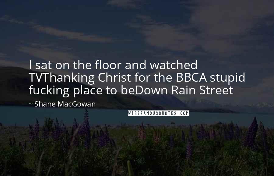 Shane MacGowan Quotes: I sat on the floor and watched TVThanking Christ for the BBCA stupid fucking place to beDown Rain Street