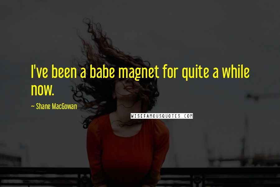 Shane MacGowan Quotes: I've been a babe magnet for quite a while now.
