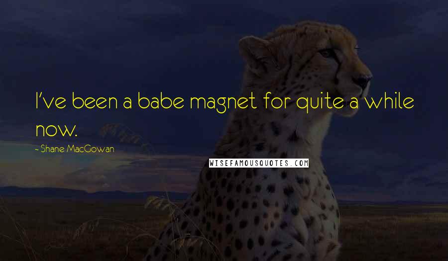 Shane MacGowan Quotes: I've been a babe magnet for quite a while now.