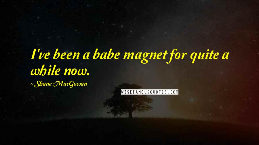Shane MacGowan Quotes: I've been a babe magnet for quite a while now.