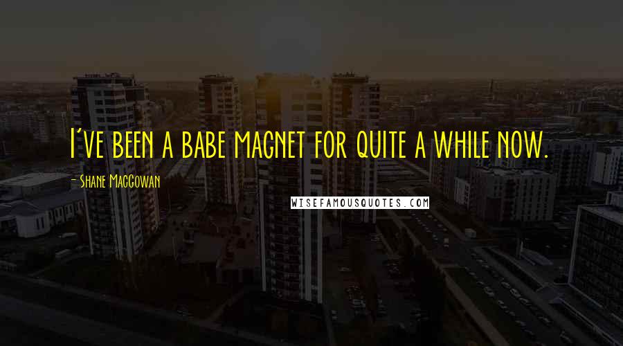 Shane MacGowan Quotes: I've been a babe magnet for quite a while now.