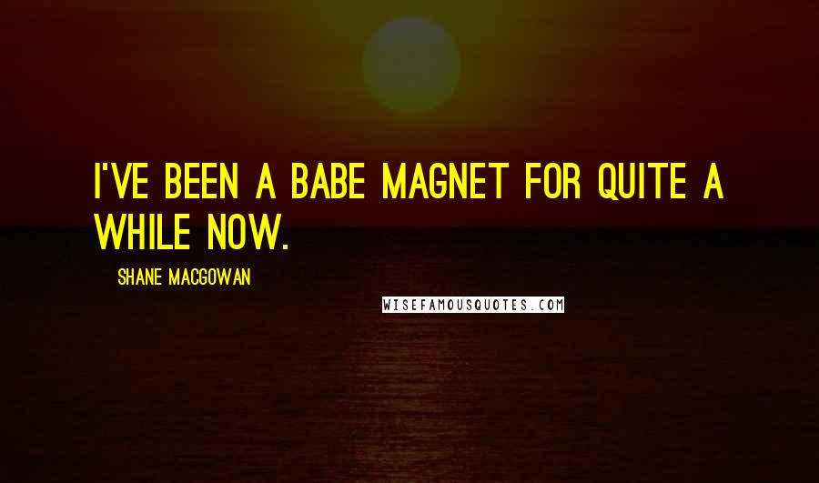 Shane MacGowan Quotes: I've been a babe magnet for quite a while now.
