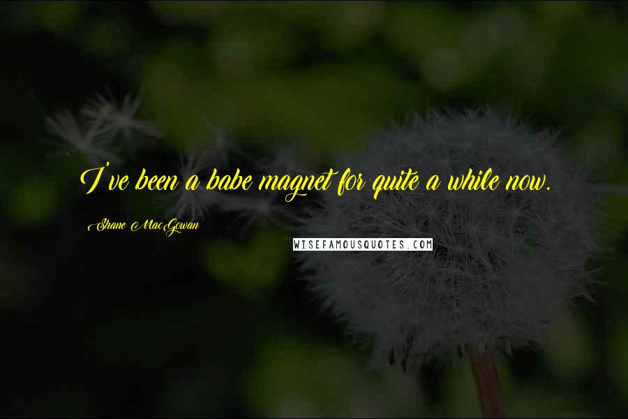 Shane MacGowan Quotes: I've been a babe magnet for quite a while now.
