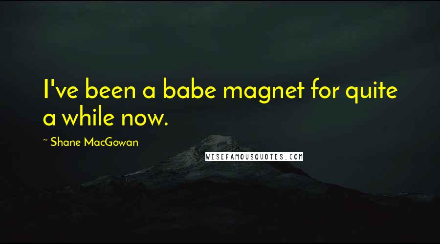 Shane MacGowan Quotes: I've been a babe magnet for quite a while now.