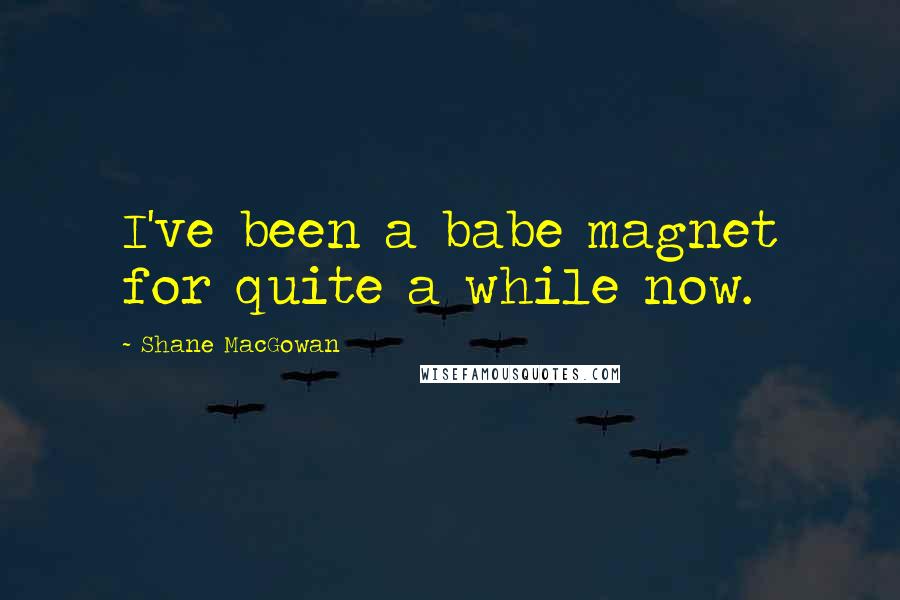 Shane MacGowan Quotes: I've been a babe magnet for quite a while now.