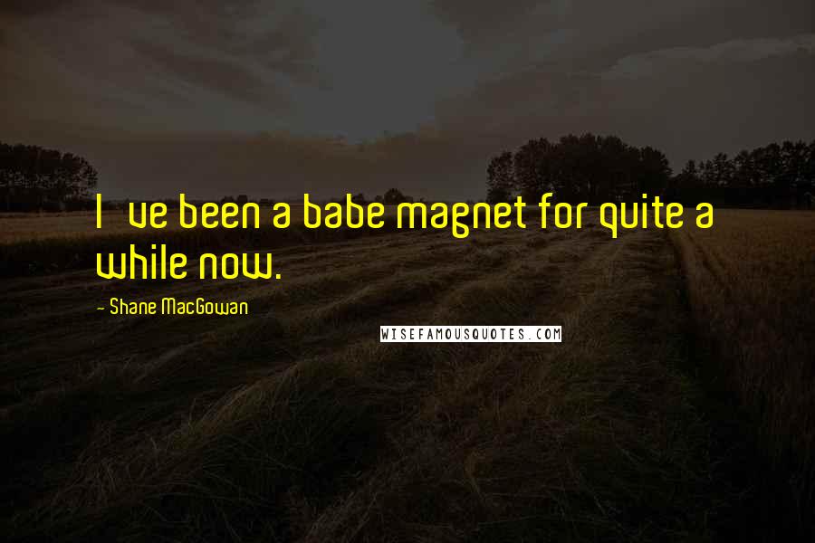 Shane MacGowan Quotes: I've been a babe magnet for quite a while now.