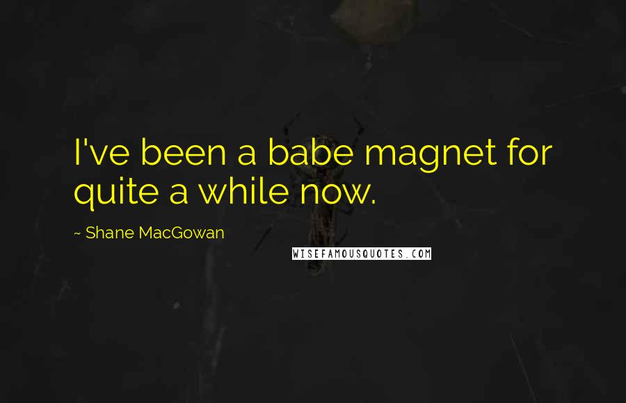 Shane MacGowan Quotes: I've been a babe magnet for quite a while now.