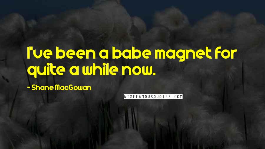 Shane MacGowan Quotes: I've been a babe magnet for quite a while now.