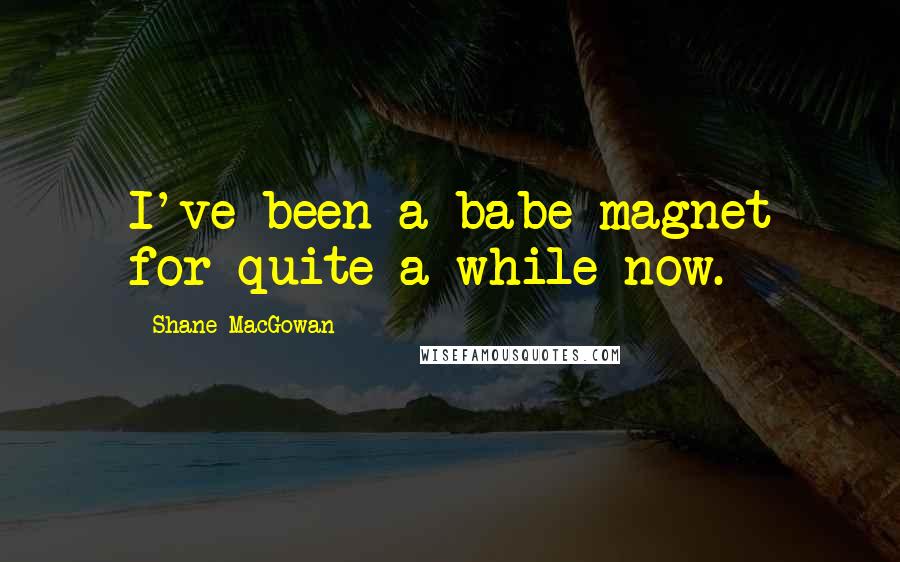 Shane MacGowan Quotes: I've been a babe magnet for quite a while now.