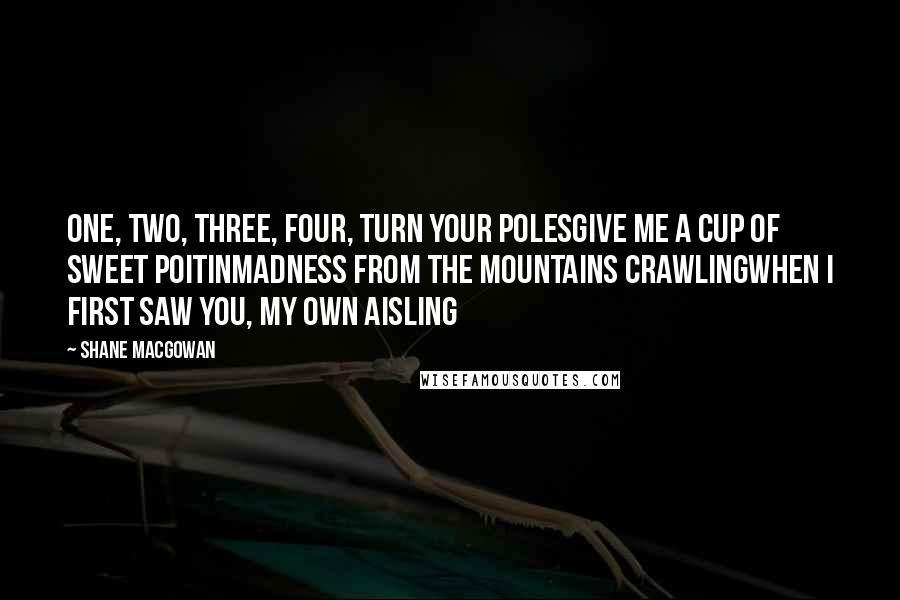 Shane MacGowan Quotes: One, two, three, four, turn your polesGive me a cup of sweet poitinMadness from the mountains crawlingWhen I first saw you, my own Aisling