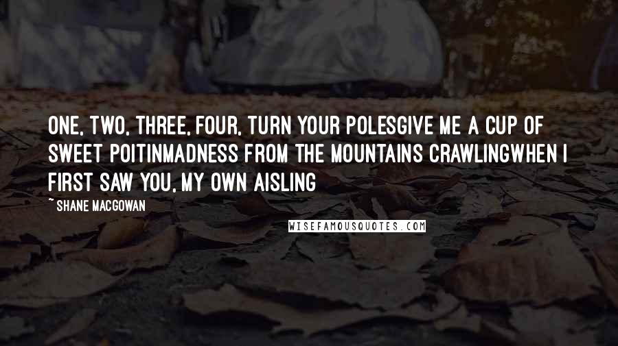 Shane MacGowan Quotes: One, two, three, four, turn your polesGive me a cup of sweet poitinMadness from the mountains crawlingWhen I first saw you, my own Aisling