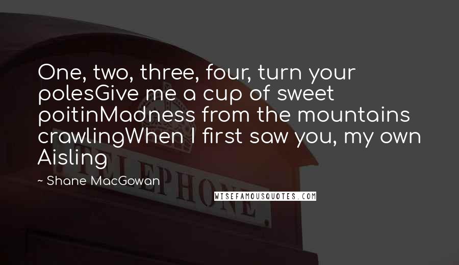 Shane MacGowan Quotes: One, two, three, four, turn your polesGive me a cup of sweet poitinMadness from the mountains crawlingWhen I first saw you, my own Aisling