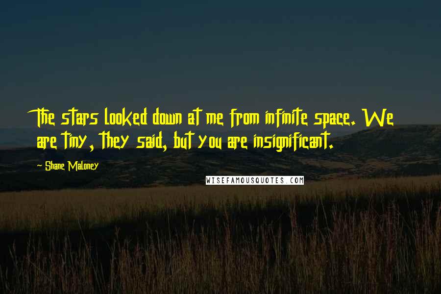 Shane Maloney Quotes: The stars looked down at me from infinite space. We are tiny, they said, but you are insignificant.