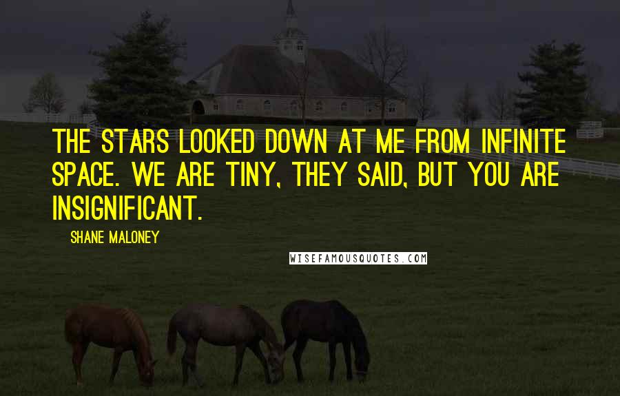 Shane Maloney Quotes: The stars looked down at me from infinite space. We are tiny, they said, but you are insignificant.