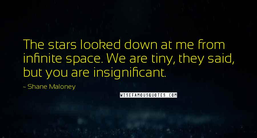Shane Maloney Quotes: The stars looked down at me from infinite space. We are tiny, they said, but you are insignificant.