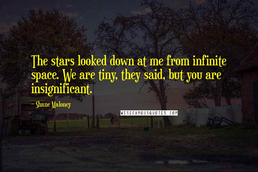 Shane Maloney Quotes: The stars looked down at me from infinite space. We are tiny, they said, but you are insignificant.